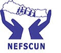 NEFSCUN Day