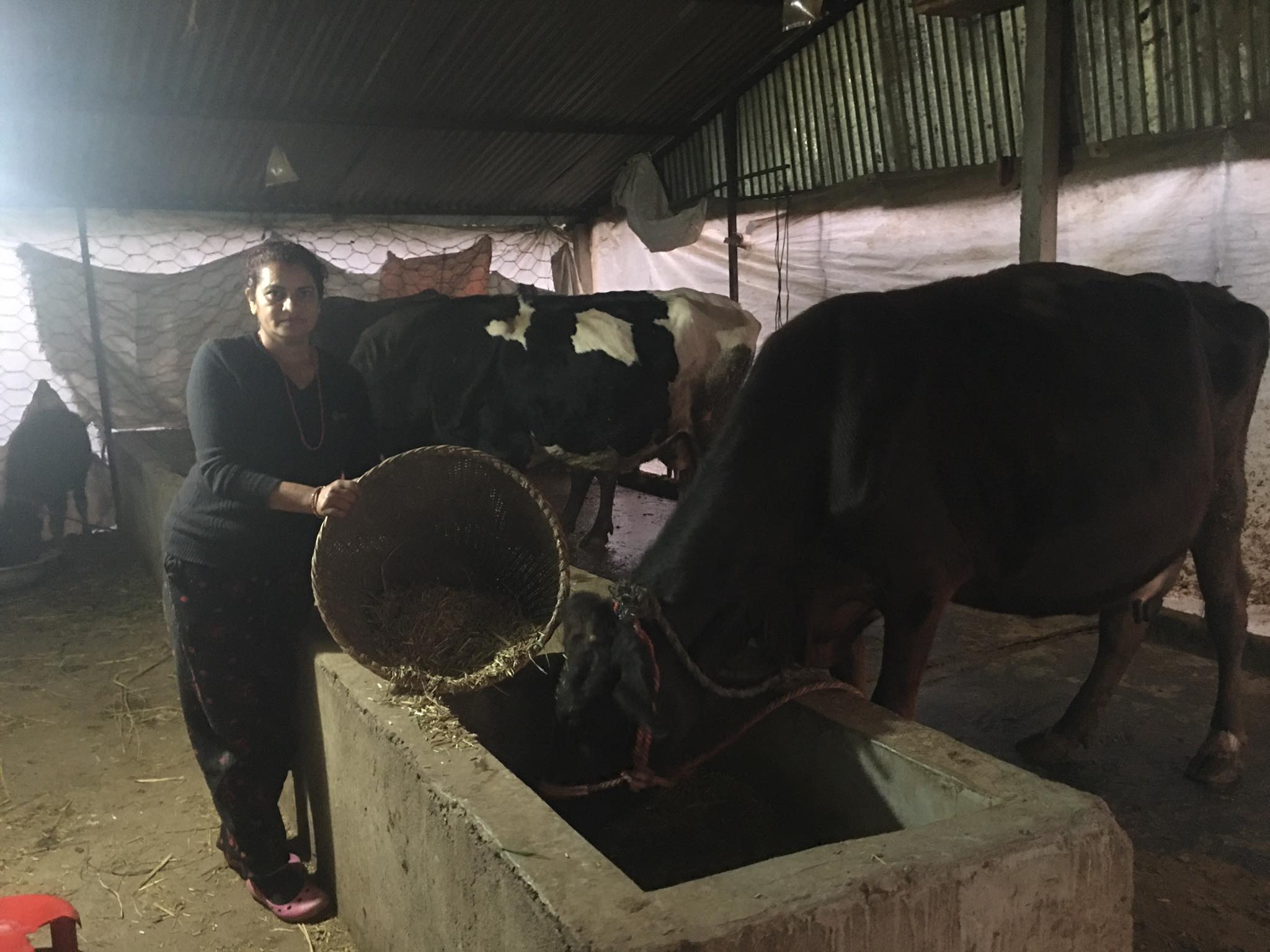 सहकारीले कृषिका लागि सहुलियतपूर्ण कर्जा दिनुपर्छः उद्यमी सीता दवाडी