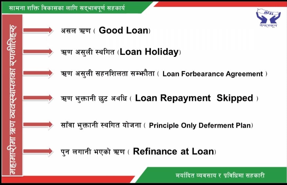 काठमाडौं र ललितपुरका साकोसहरुबीच विपद् जोखिम न्यूनीकरण सम्बन्धमा भर्चुअल अभिमुखीकरण 