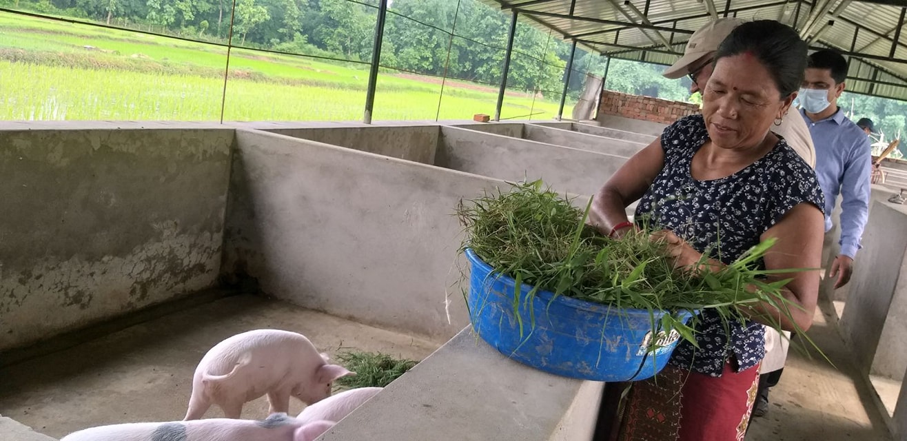 परिचय फेर्दै सुपौली गाउँ