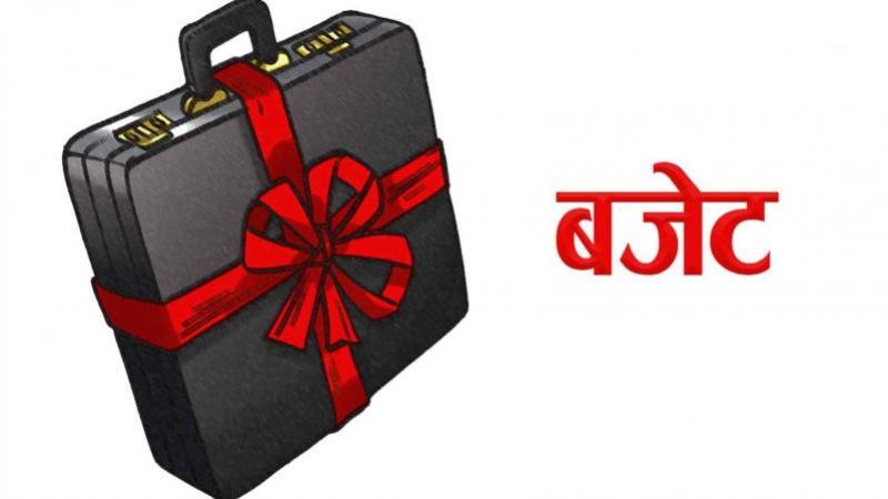 प्रतिस्थापन बजेटमा सहकारी