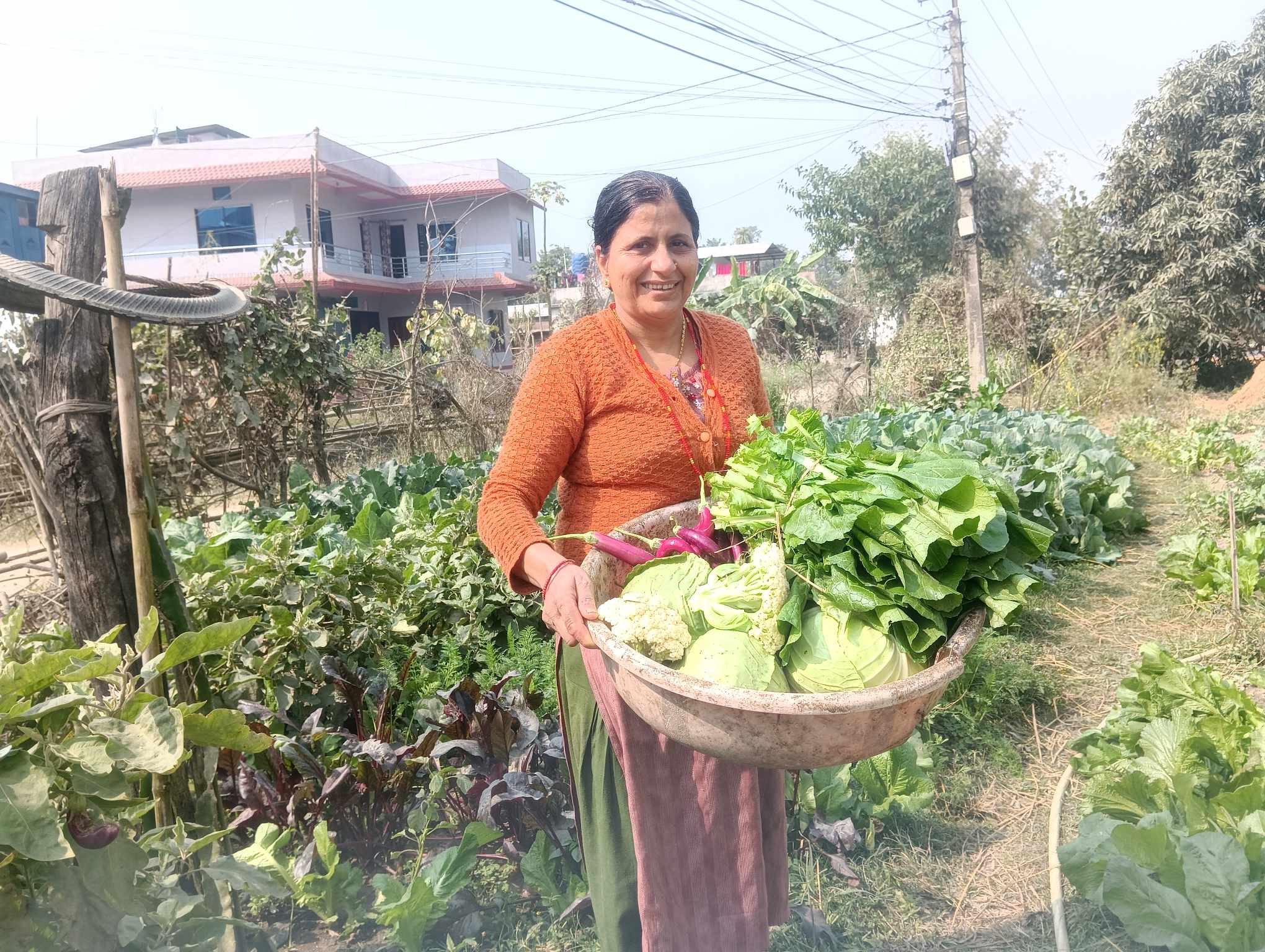 सहकारी जागिरे 'होमा म्याडम'को करेसाबारीको कथा
