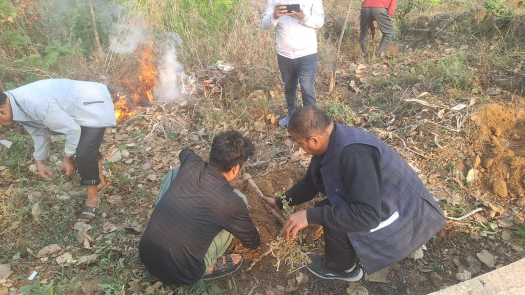 स्थापना दिवसका अवसरमा सिवाईसी साकोसले गर्यो वृक्षारोपण