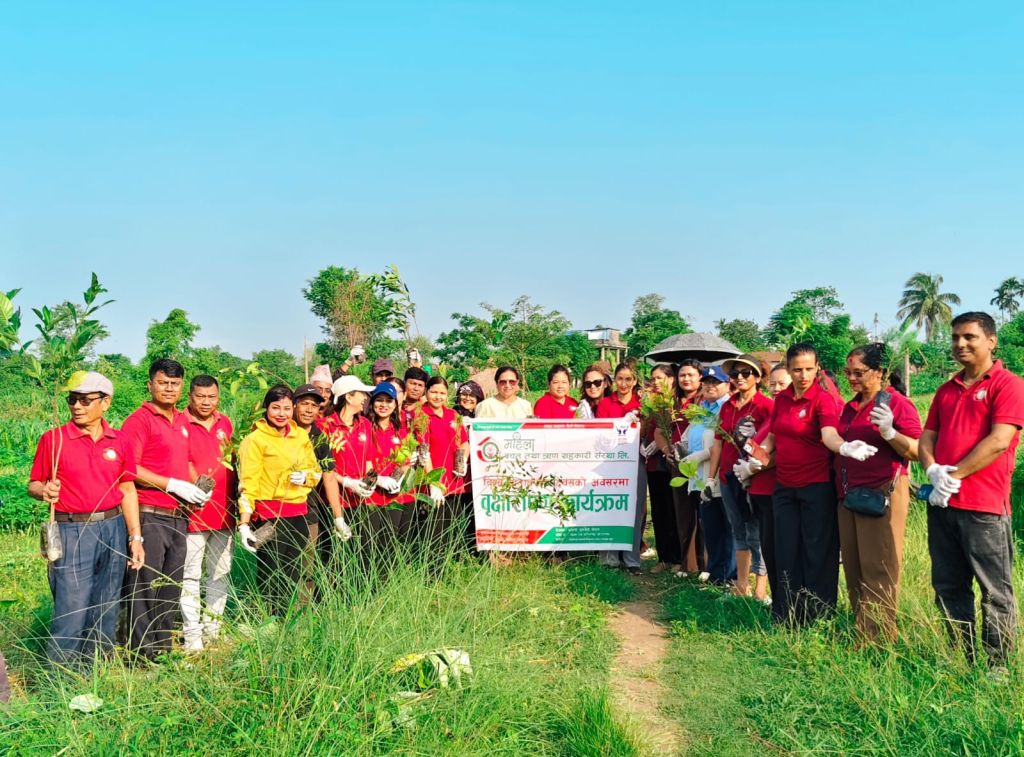 विश्व वातावरण दिवसका अवसरमा महिला साकोसद्वारा वृक्षारोपण